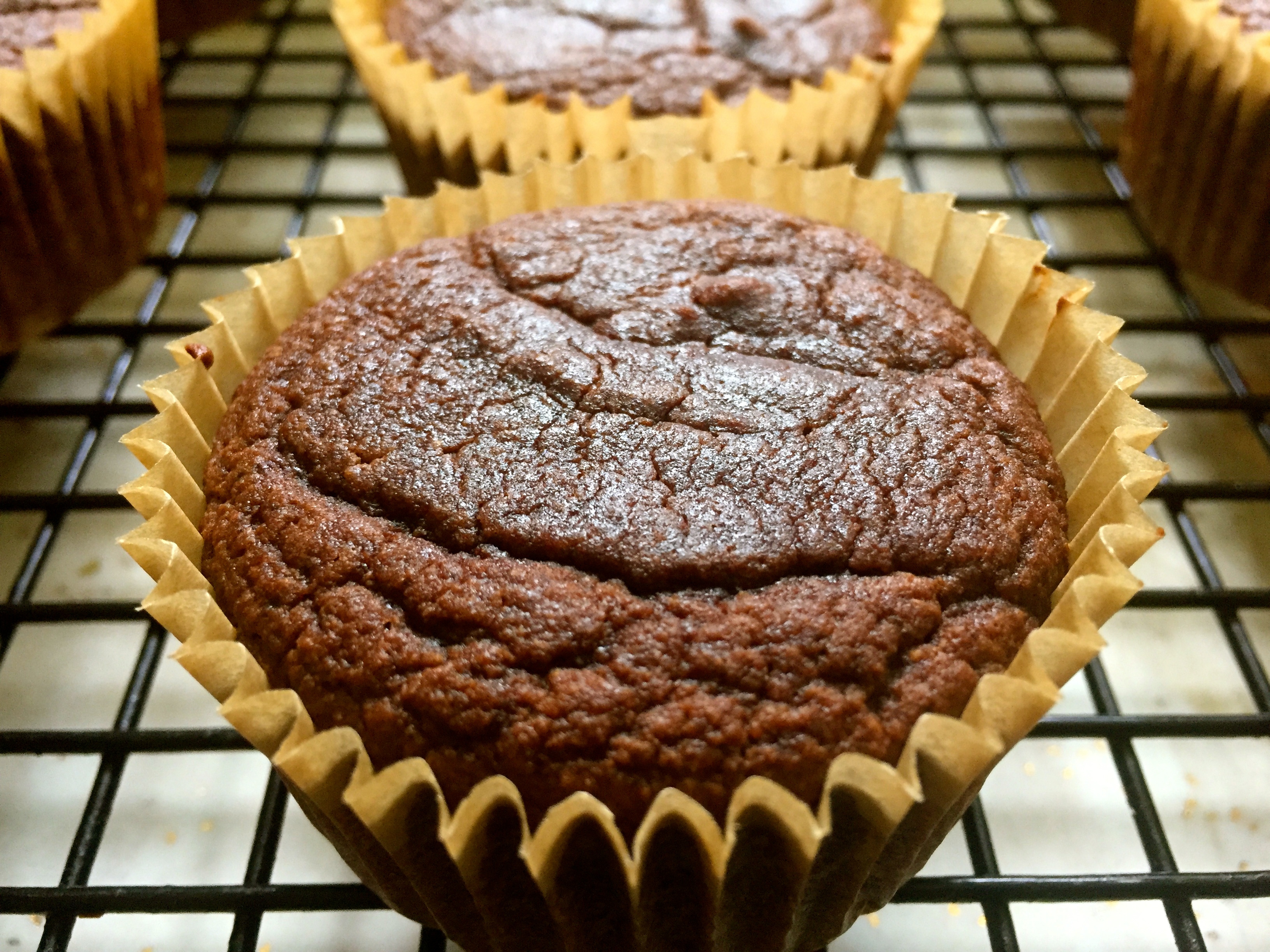 Double Chocolate Muffins